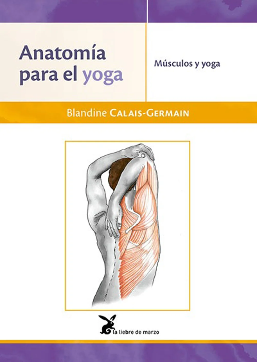 En las diferentes posturas del yoga, los músculos guían a los huesos, mantienen las articulaciones, protegen los nervios, suspenden o elevan parte...
