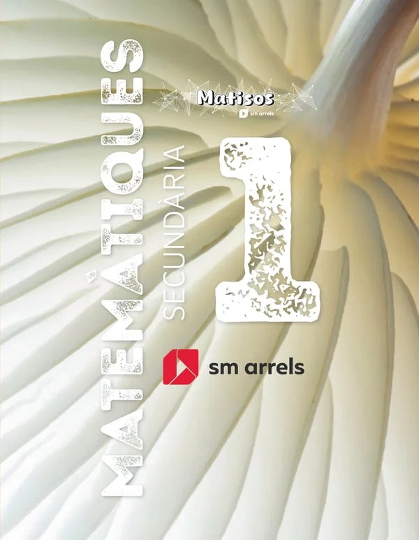 Amb Matemàtiques Matices, l'alumnat interpretarà la realitat a partir de situacions d'aprenentatge contextualitzades.&nbsp; A partir dels sabers bàsics...