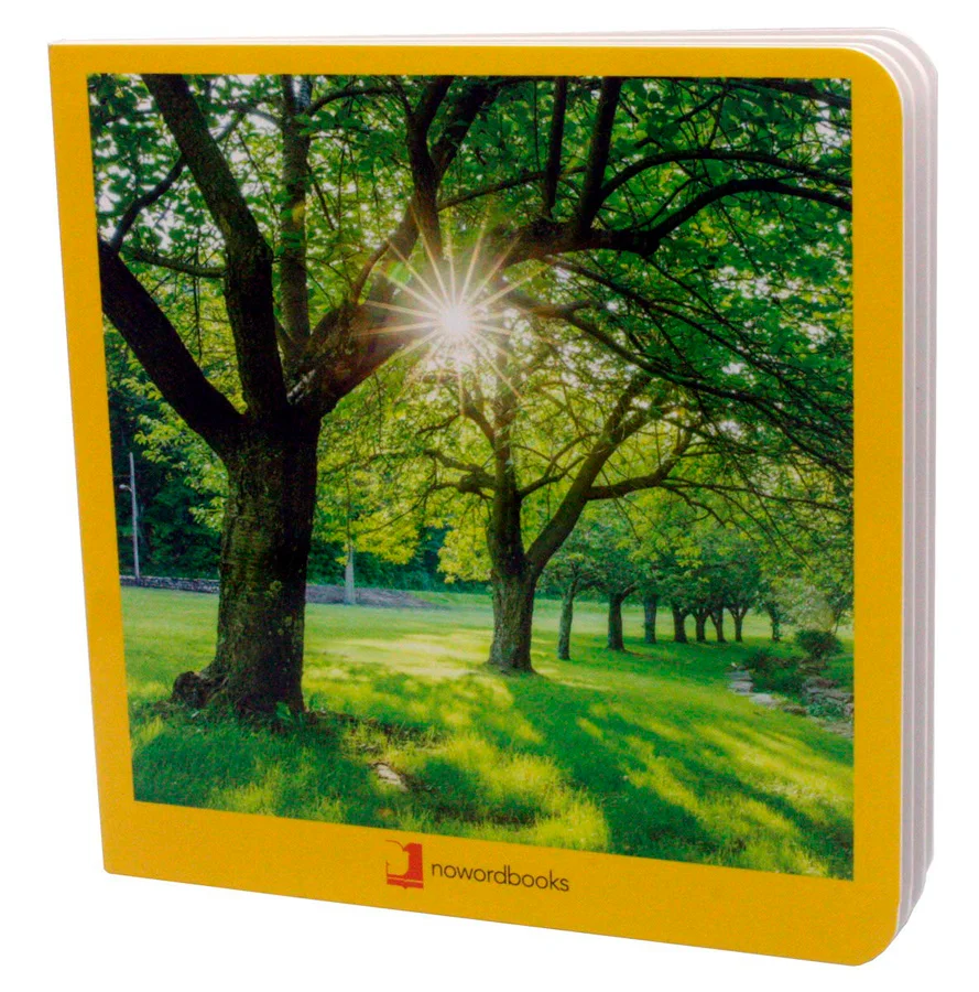 Libro de fotografías de elementos característicos del verano. Para que niños y niñas comprendan el significado de las estaciones a través de eleme...