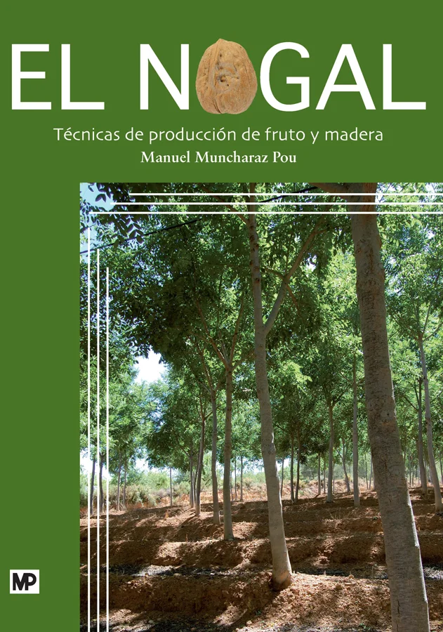 Aunque el nogal está presente desde tiempos remotos en la Península Ibérica, ancestralmente se la ha conocido como una especie diseminada y asilve...