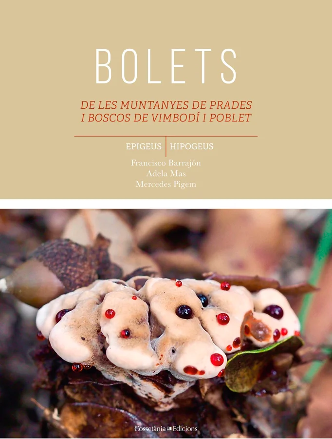 Els innumerables paratges recollits fotogràficament en aquest llibre de les Muntanyes de Prades i els boscos de Vimbodí i Poblet ens aproximen a l...