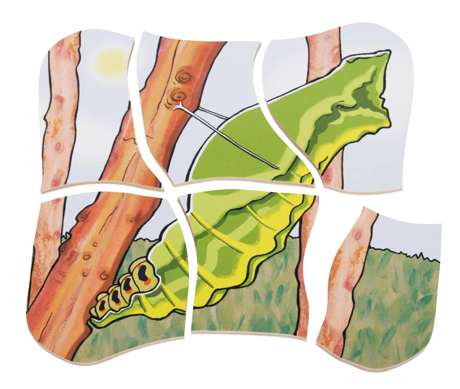 ENCAIX EVOLUTIU PAPALLONA ENCAIX EVOLUTIU PAPALLONA