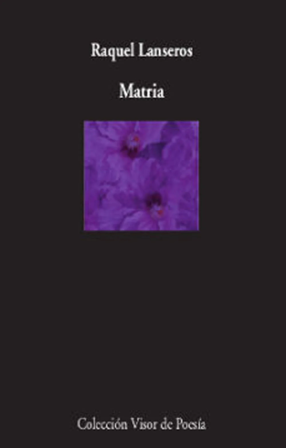 RAQUEL LANSEROS (Jerez de la Frontera, 1973) es autora de Leyendas del promontorio (2005), Diario de un destello (2006), Los ojos de la niebla (20...