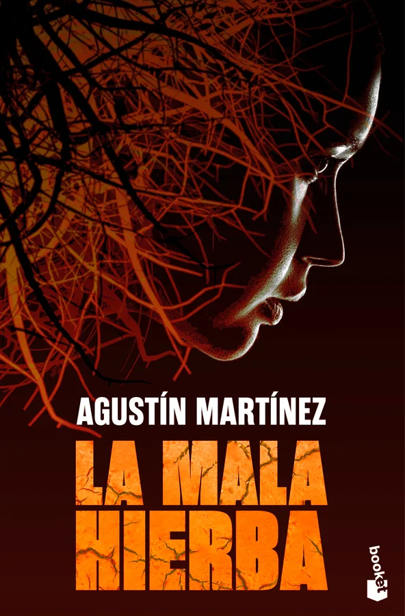 <strong>Por uno de los autores de Carmen Mola. «Malas tierras, malpaís. Nada podía crecer allí. Nada sano.»</strong><br><br>Tras perder su empleo,...