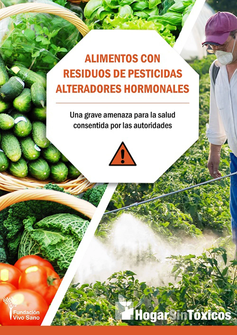 Muchos de los residuos de pesticidas a los que nos exponemos cotidianamente a través de la comida son disruptores endocrinos (sustancias capaces d...