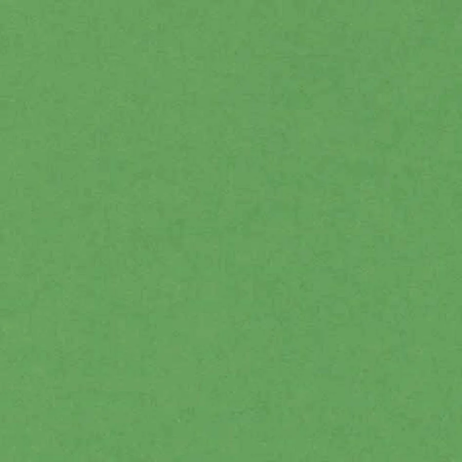 Cartolina Iris 23x32 240g verd fosc 50 fulls Cartolina Iris 23x32 240g verd fosc 50 fulls