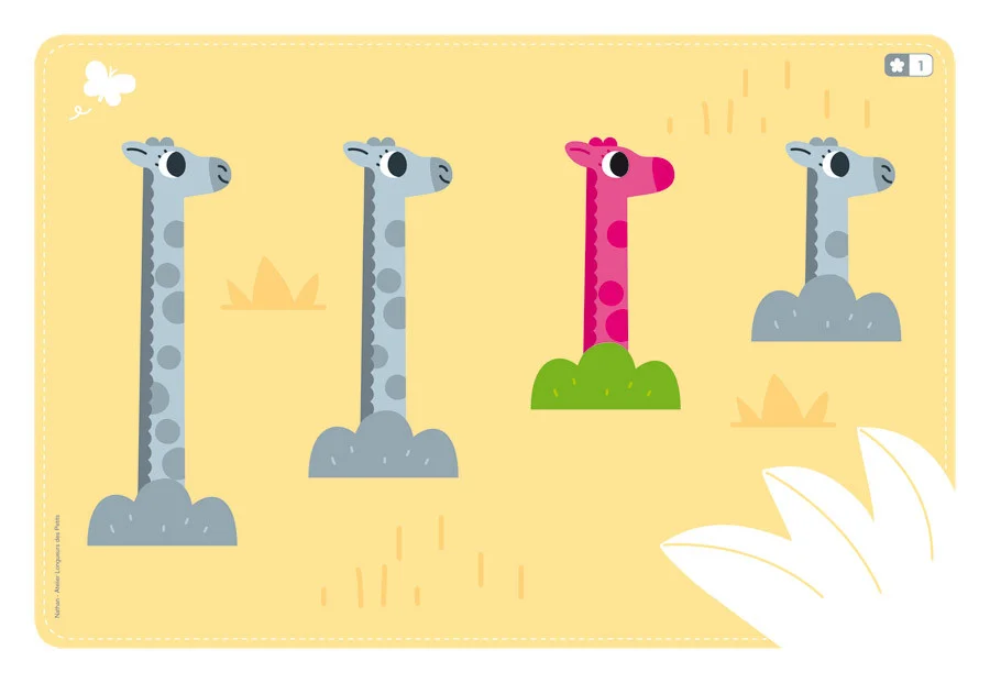 Taller Nathan Longituds Taller Nathan Longituds