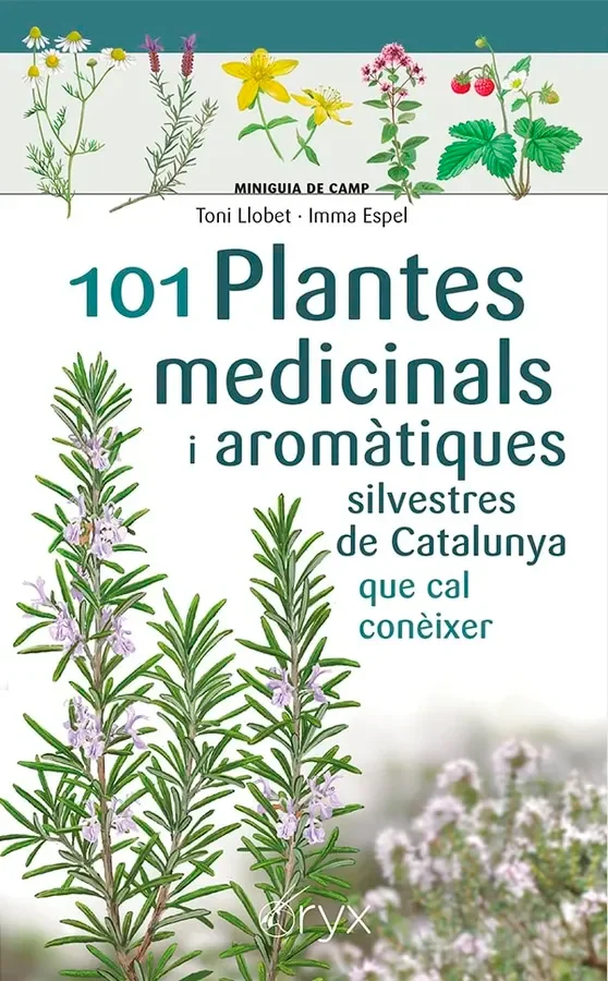 IL·LUSTRACIONS DE TONI LLOBET MINIGUIA COMPLETA I IL·LUSTRATIVA SOBRE PLANTES MEDICINALS I AROMÀTIQUES SILVESTRES QUE ES PODEN TROBAR A CATALUNYA ...