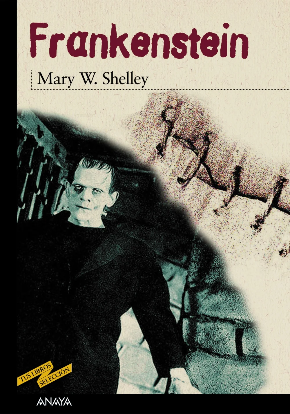Dieciocho años tenía Mary Shelley cuando escribió las primeras líneas de Frankestein, una obra cuya popularidad, debida en parte al cine y al teat...