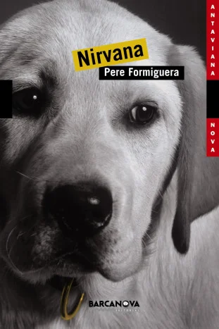 Quan l'Hipòlit Pinyol, ateu convençut, mor en un desgraciat accident, descobreix que, de totes les religions del món, només el budisme l'havia enc...