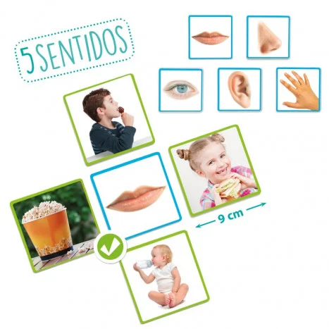 Els 5 sentits