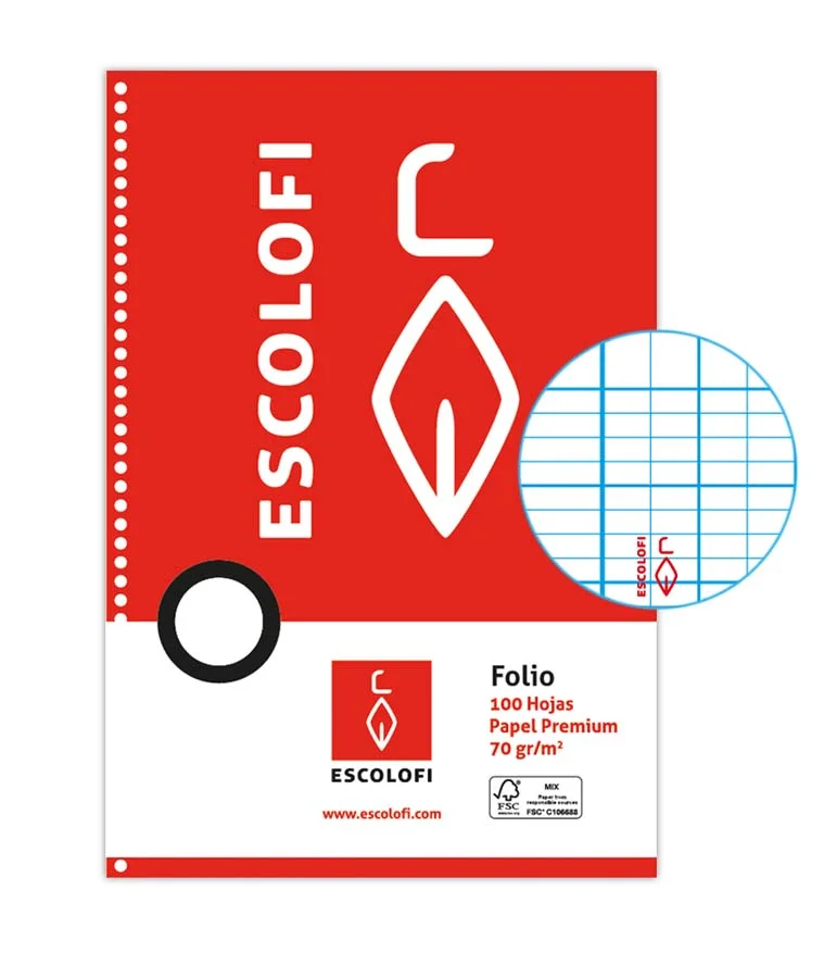 <p>Recanvi paper <strong>marca Escolofi</strong> DIN A4 <br><li>Paper de 70 grams.</li><li>Interior quadrícula 2 x 4 x 8 mm amb marge.</li><li>Mul...