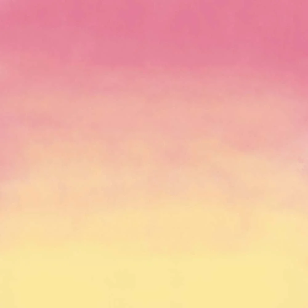 Infusible Ink transfer 11x30cm pink lemon 2 fulls Infusible Ink transfer 11x30cm pink lemon 2 fulls