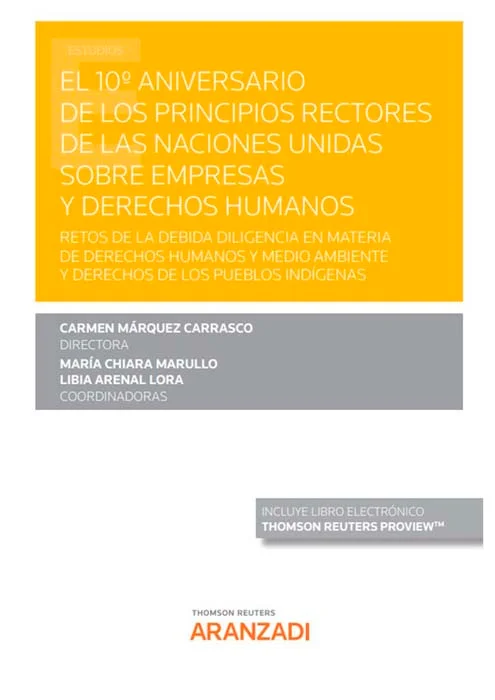 Esta obra trata de los retos que el 10º aniversario de los Principios Rectores de las Naciones Unidas plantea en relación con la debida diligencia...