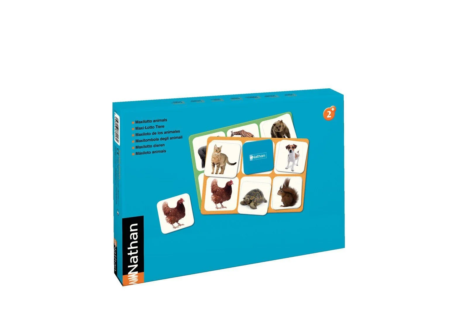 Maxiloto animals