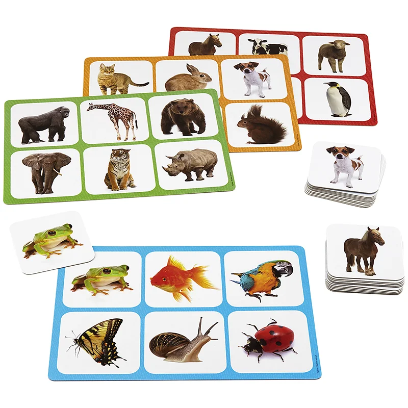 Maxiloto animals