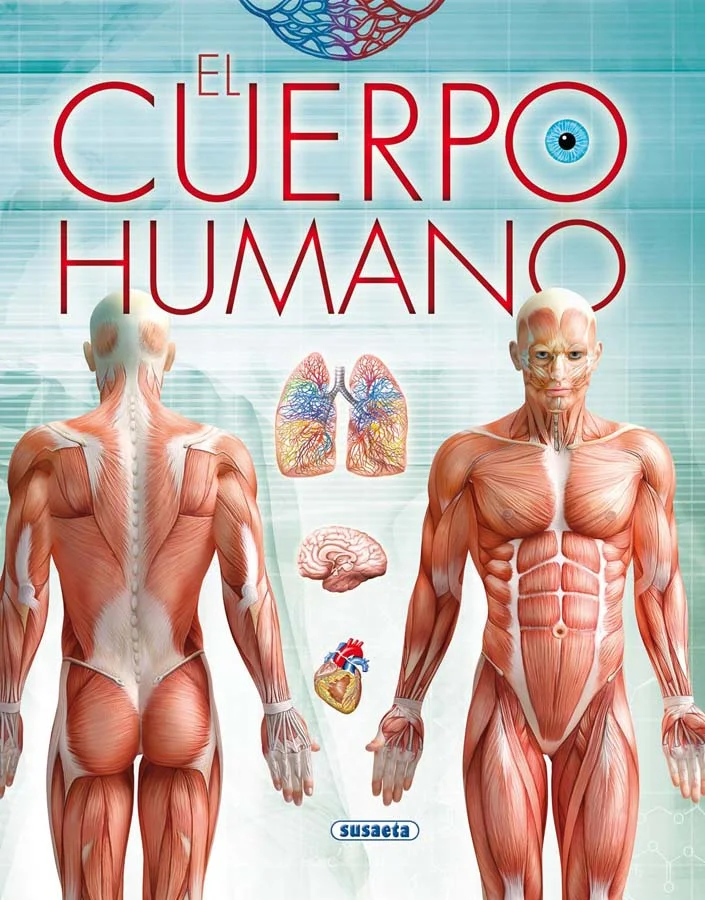 Un completo libro en el que se explica, de una forma muy visual, el funcionamiento básico del cuerpo humano: desde su composición, el esqueleto, l...