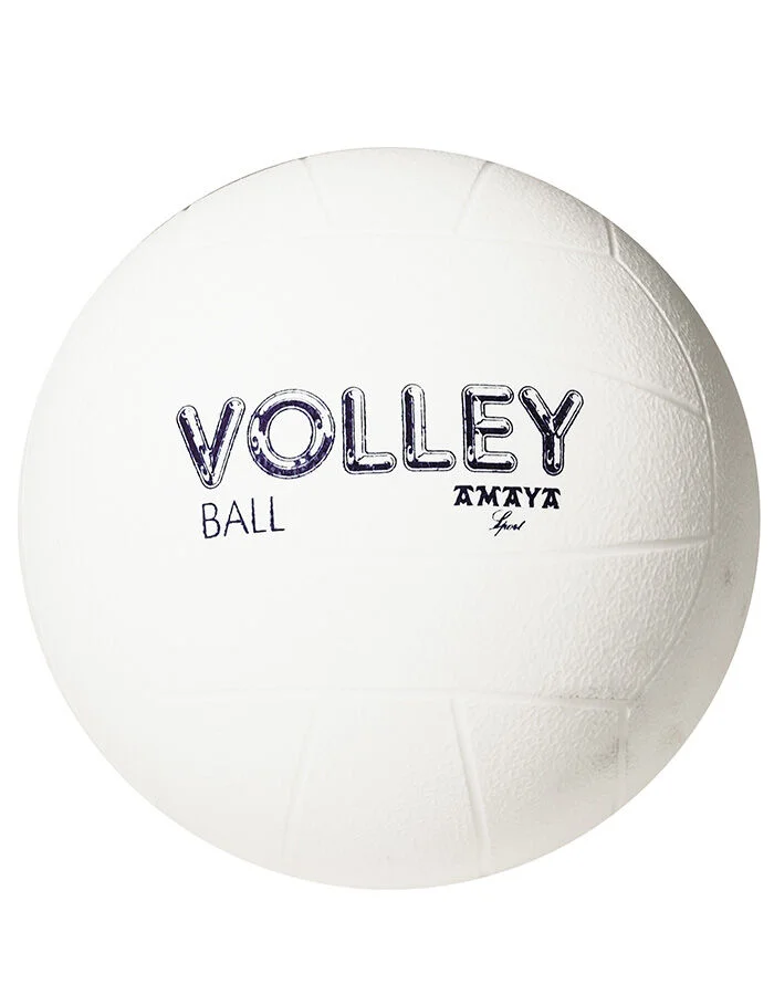 Pilota volley