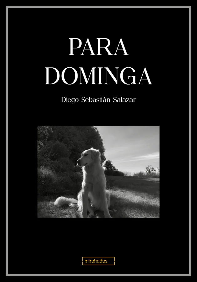 Fue ella quien me sacó de la cama, comprendía la tristeza mejor que yo. Su espíritu era fuerte y gentil, a veces furioso, pero de furia inocente, ...