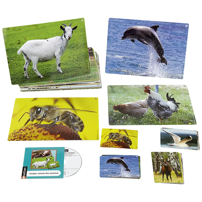 Imatges i sons: els animals Imatges i sons: els animals