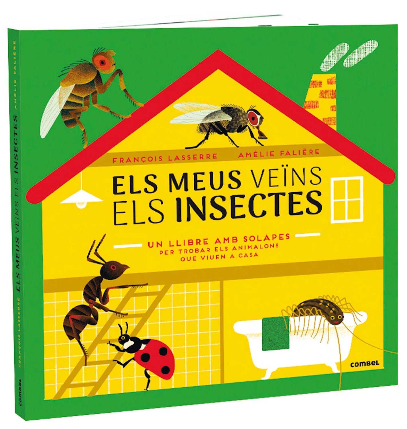 Potser no us n'heu adonat mai, però hi ha tota una colla de bestioles que viuen a casa vostra. O potser hauríem de dir que sou vosaltres els que v...