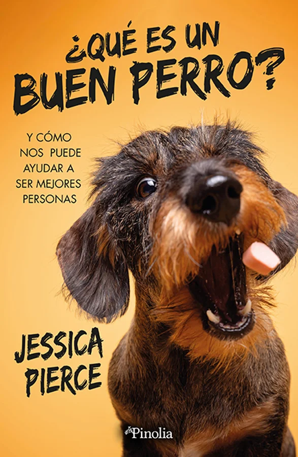En su nuevo libro «¿Qué es un buen perro?», la prestigiosa bioeticista Jessica Pierce nos invita a cultivar relaciones más reflexivas y equilibrad...