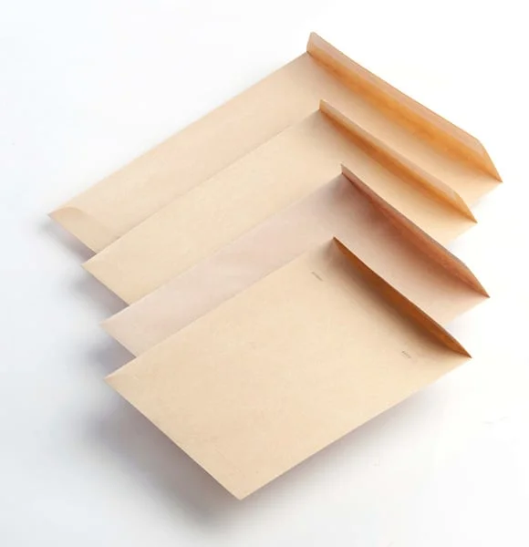 <p><b>Bossa kraft Galler Foli 25x35,3 cm 90g 250 unitats</b><br><br>Bossa de gran format de la sèrie Galler, fabricada en paper kraft natural verj...