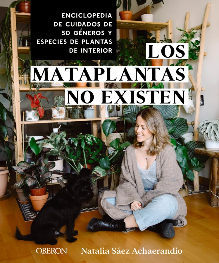 <p><b>Los mataplantas no existen: el problema es que no tienen la información suficiente para mantenerlas vivas con éxito.</b></p><p><b>Las planta...