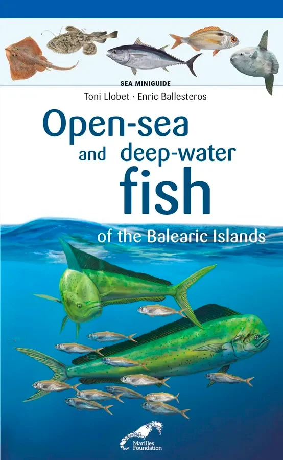 The Balearic Sea is teeming with marine life. In its waters, large numbers of tuna breed. Conger eels, hake and angler fish live near the sea bed,...