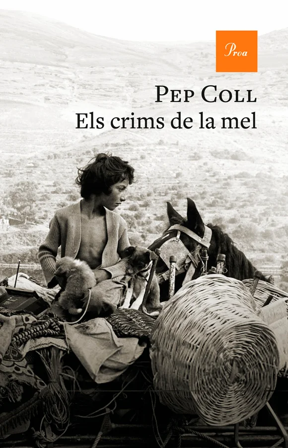 <strong>Una novel·la basada en un crim real de principis dels anys 50 al Pallars</strong><br><br>Onze anys després del gran èxit del true crime ti...