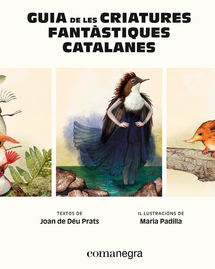 On podem trobar les principals criatures fantàstiques del país? D'on sorgeixen? Quins poders tenen? Quins són els seus punts febles? Aquest llibre...