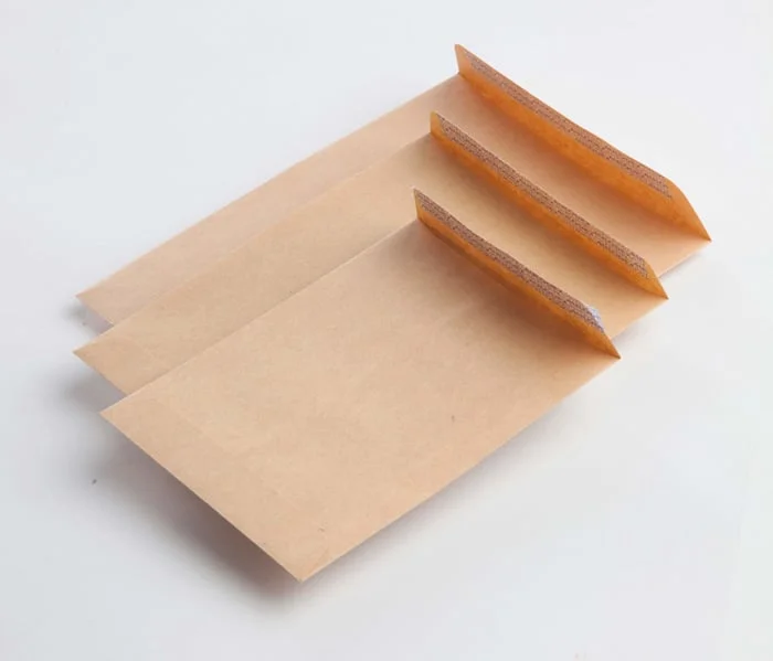 Bossa Salari Kraft 100x145mm 70g 1000u Bossa Salari Kraft 100x145mm 70g 1000u