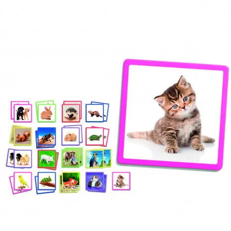 Maxi-memory mascotes Maxi-memory mascotes