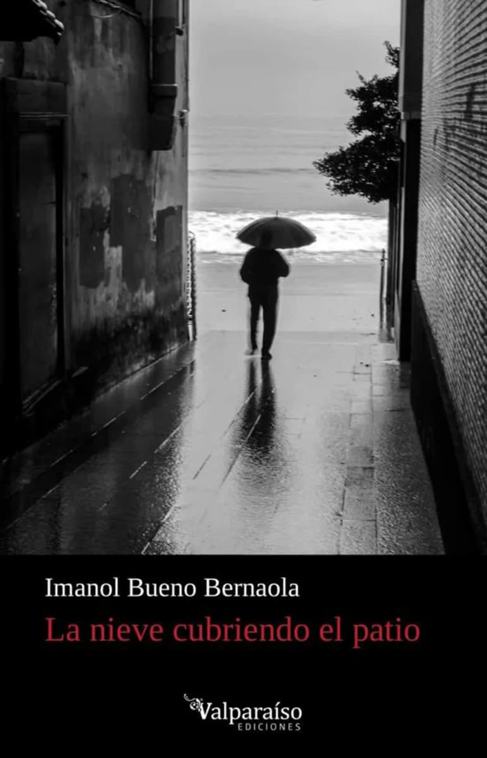 La nieve cubriendo el patio&nbsp;es, fundamentalmente, unpoemario sobre el amor, el desamor y sus variables. El amor como misterio y como pregunta, com...