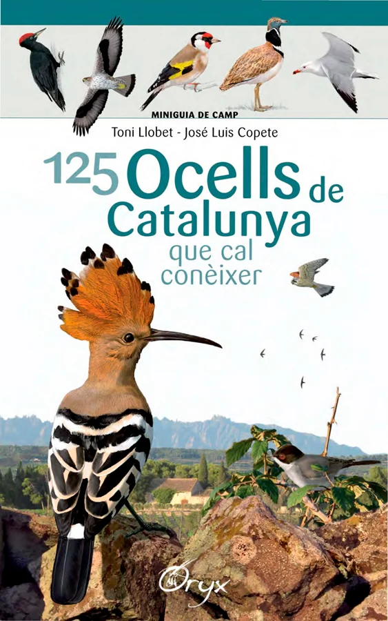 Tenim la sort que en aquest racó de món, Catalunya, hi ha una gran diversitat de paisatges, cosa que es tradueix en una gran riquesa ornitològica....