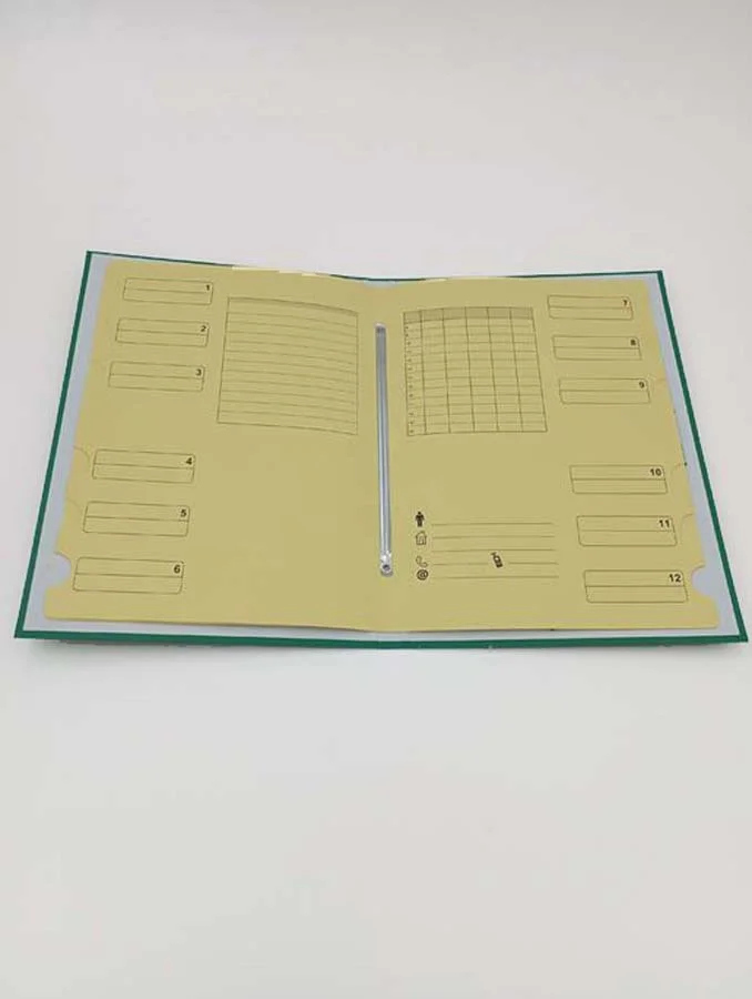 Carpeta classificadora folrada Soldaplastic verd
