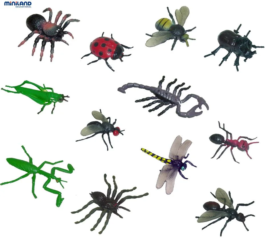 Animals insectes Animals insectes