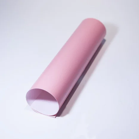 FULL PAPER XAROL INETA ROSA 500X650