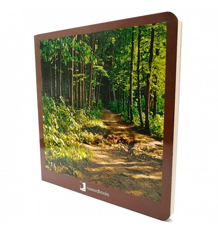 Libro de fotografías de rincones del bosque para que tu peque se familiarice con él. De este modo aprenderá a quererlo y disfrutará más de las exc...