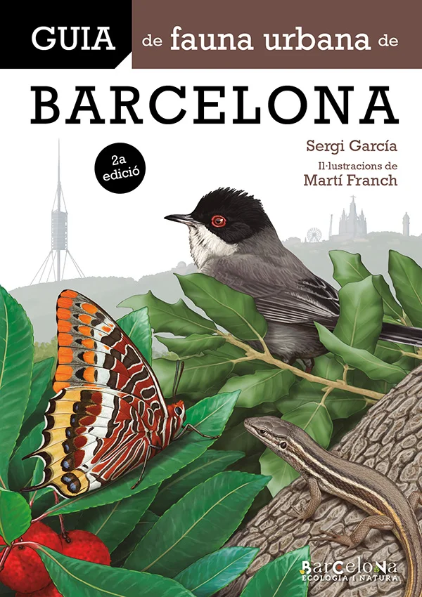 IL·LUSTRACIONS DE MARTÍ FRANCH 2A EDICIÓ «HOM PENSA QUE A LA CIUTAT NOMÉS HI VIUEN ELS ANIMALS QUE TOTHOM CONEIX: GOSSOS, GATS, COLOMS, RATES I, C...