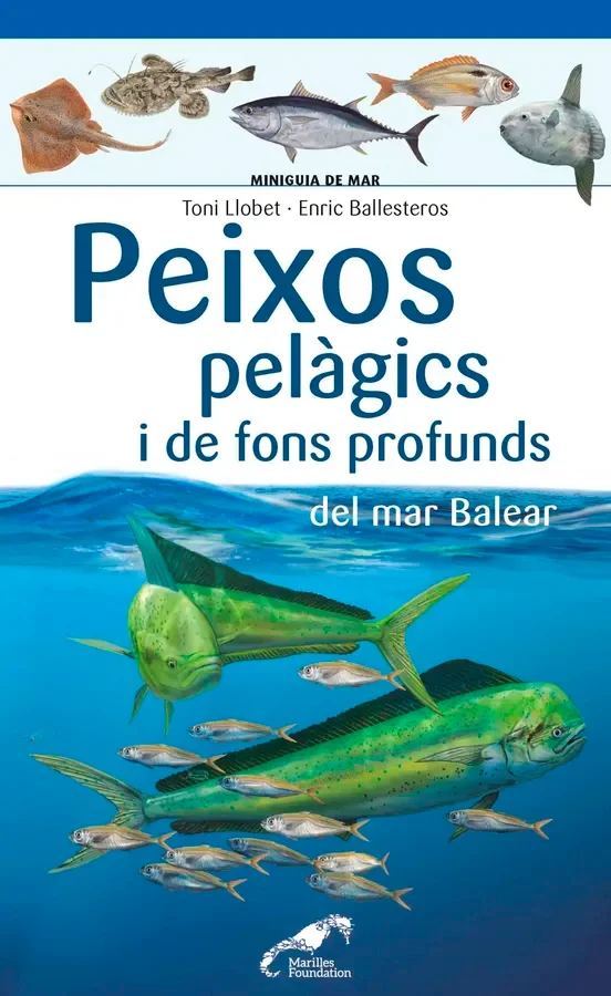 Les illes Balears són un indret privilegiat dins la Mediterrània. A les seves aigües es reprodueix la preuada tonyina, hi calen els congres, els l...
