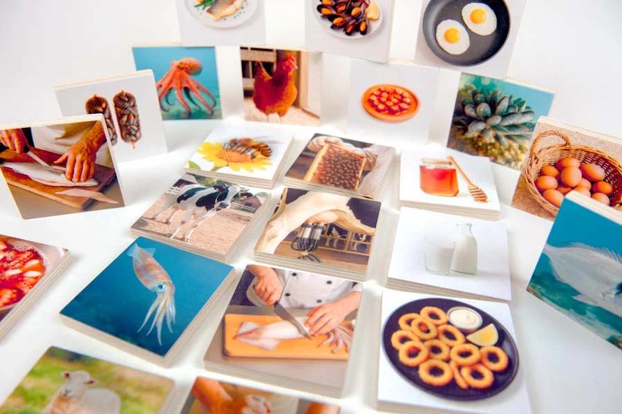 <b>Origen dels aliments d'origen animal</b> és un recurs educatiu dissenyat per mostrar de forma clara i visual el procés de producció del que men...