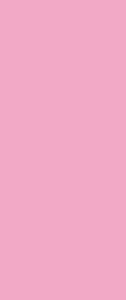 Joy Cartolina Smart adhesiva 14x33cm 10 fulls