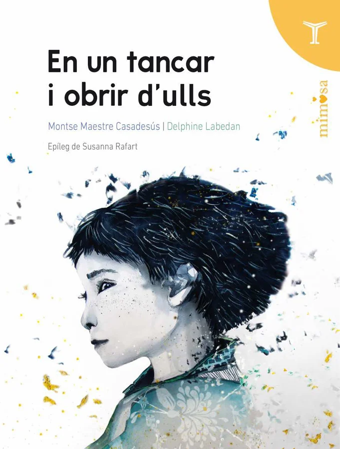 En un tancar i obrir d'ulls és un llibre on la poeta ha caminat al costat de deu infants d'entre sis i dotze anys per crear un conjunt de poemes q...