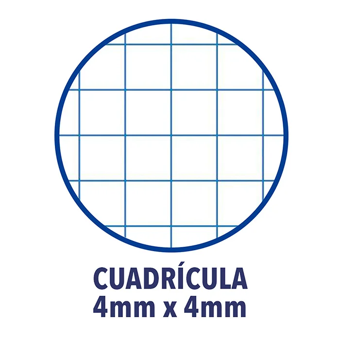 Llibreta grapada Oxford Classic A5+ 48 fulls 4x4 Llibreta grapada Oxford Classic A5+ 48 fulls 4x4