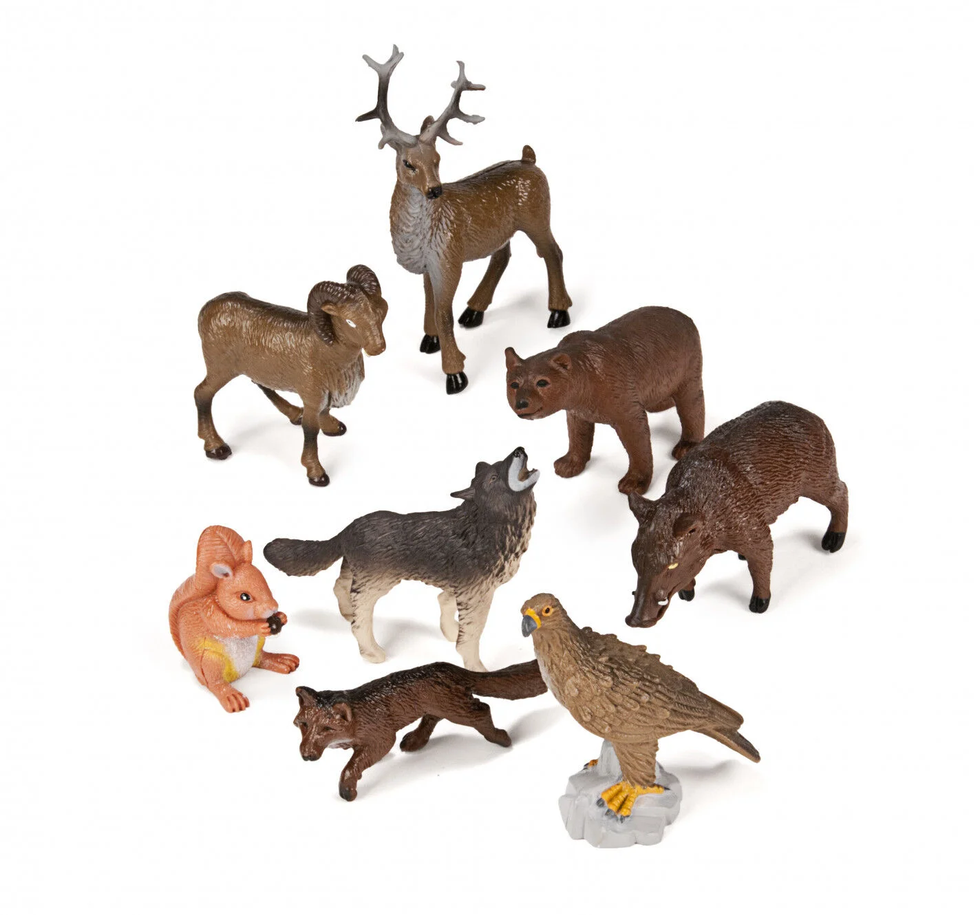 Animals del bosc Animals del bosc