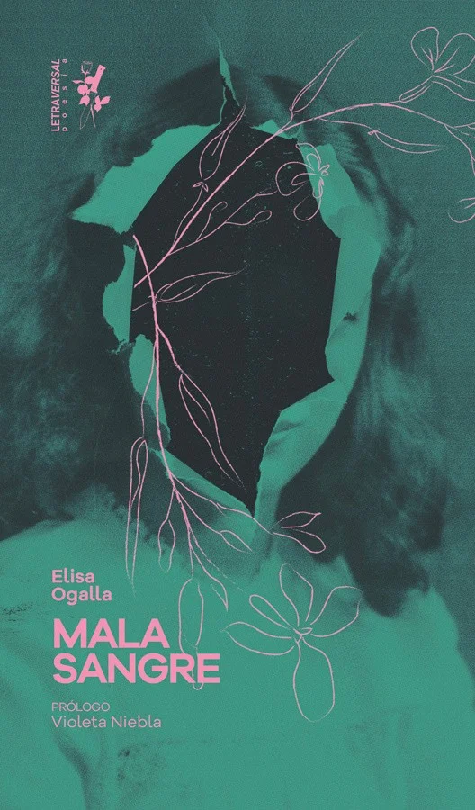 Este libro no tiene piedad, pero te acuna en sus brazos con la suavidad de una madre. Es la pregunta que antecede a la respuesta: un ave que se ab...