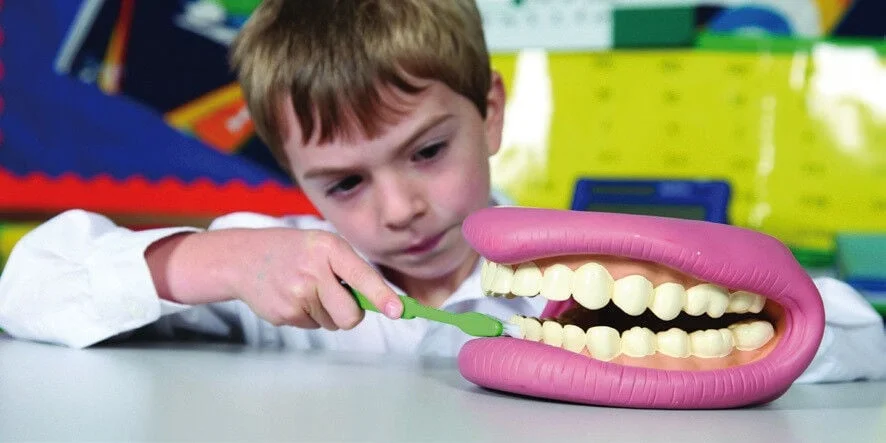 Dentadura gegant amb raspall