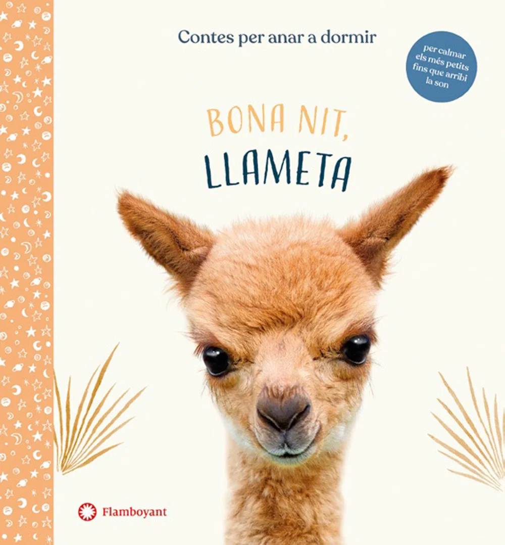 La Llameta vol pujar a la muntanya, però no hi pot anar tota sola. Sort que els amics són per a això! Segueix la petita llameta en la seva primera...