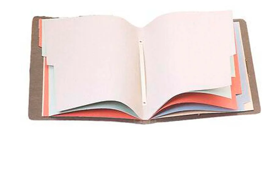 Carpeta classificadora 10 divisions Soldaplastic Foli verd